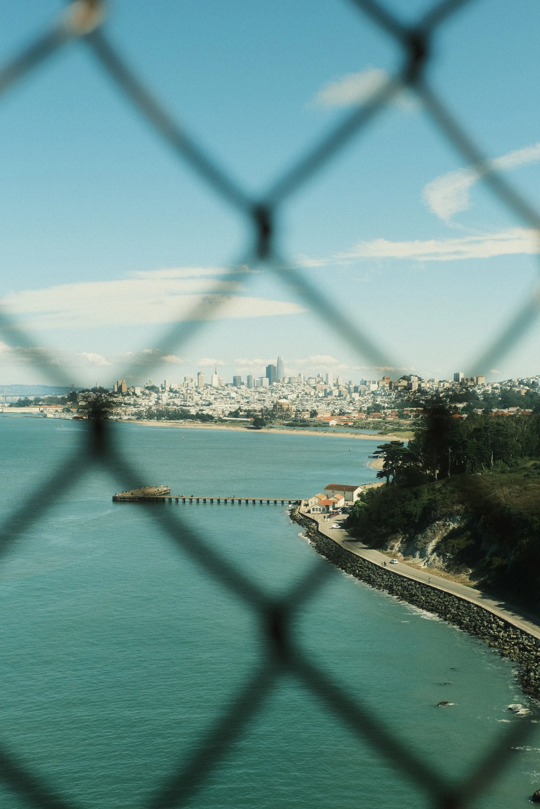 The San Francisco shoreline seen through a chain-link fence