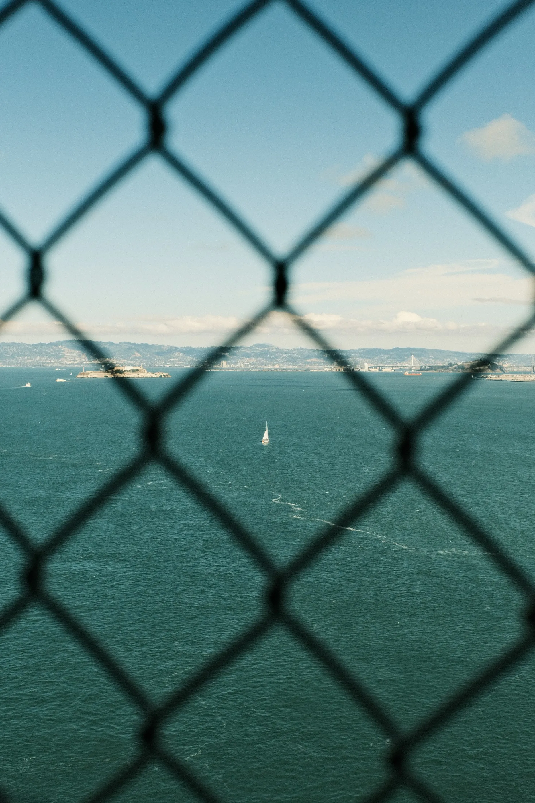Sailboats on the bay seen through a chain-link fence