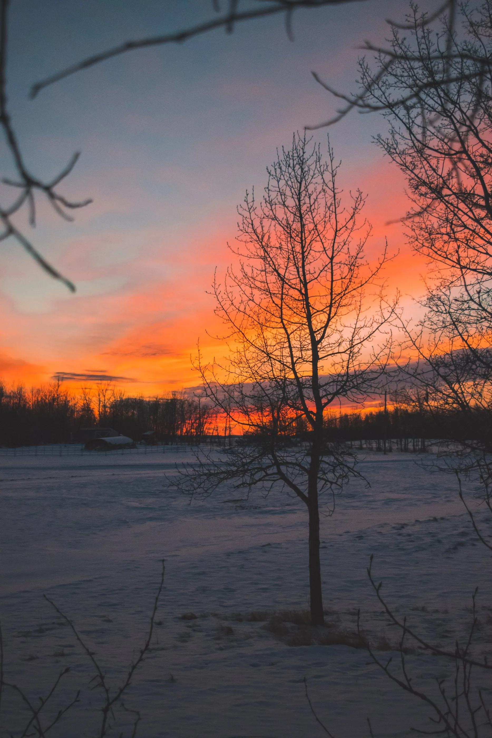 A winter sunset