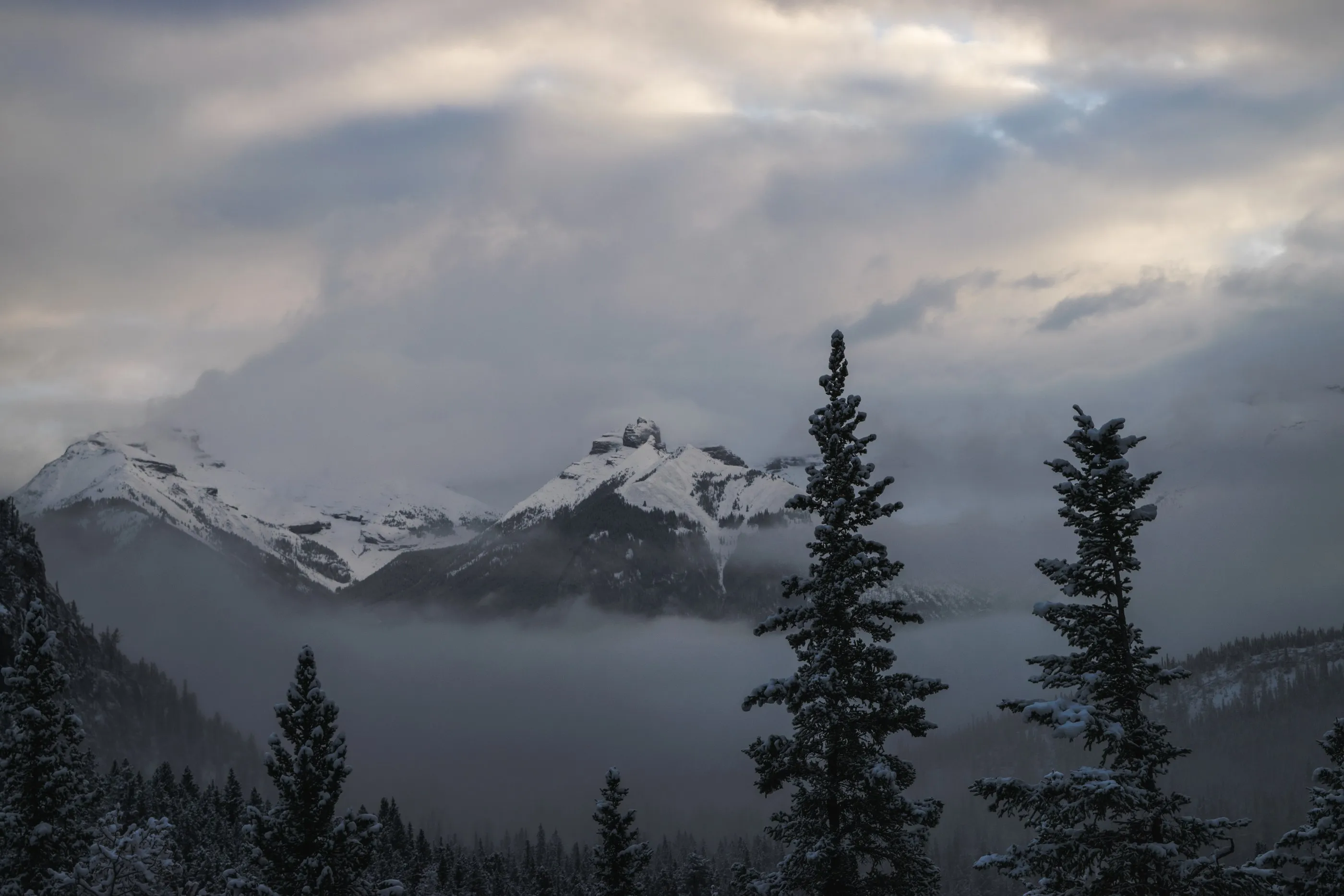 Clouds and mist settling around snow-covered mountains beyond dark evergreens