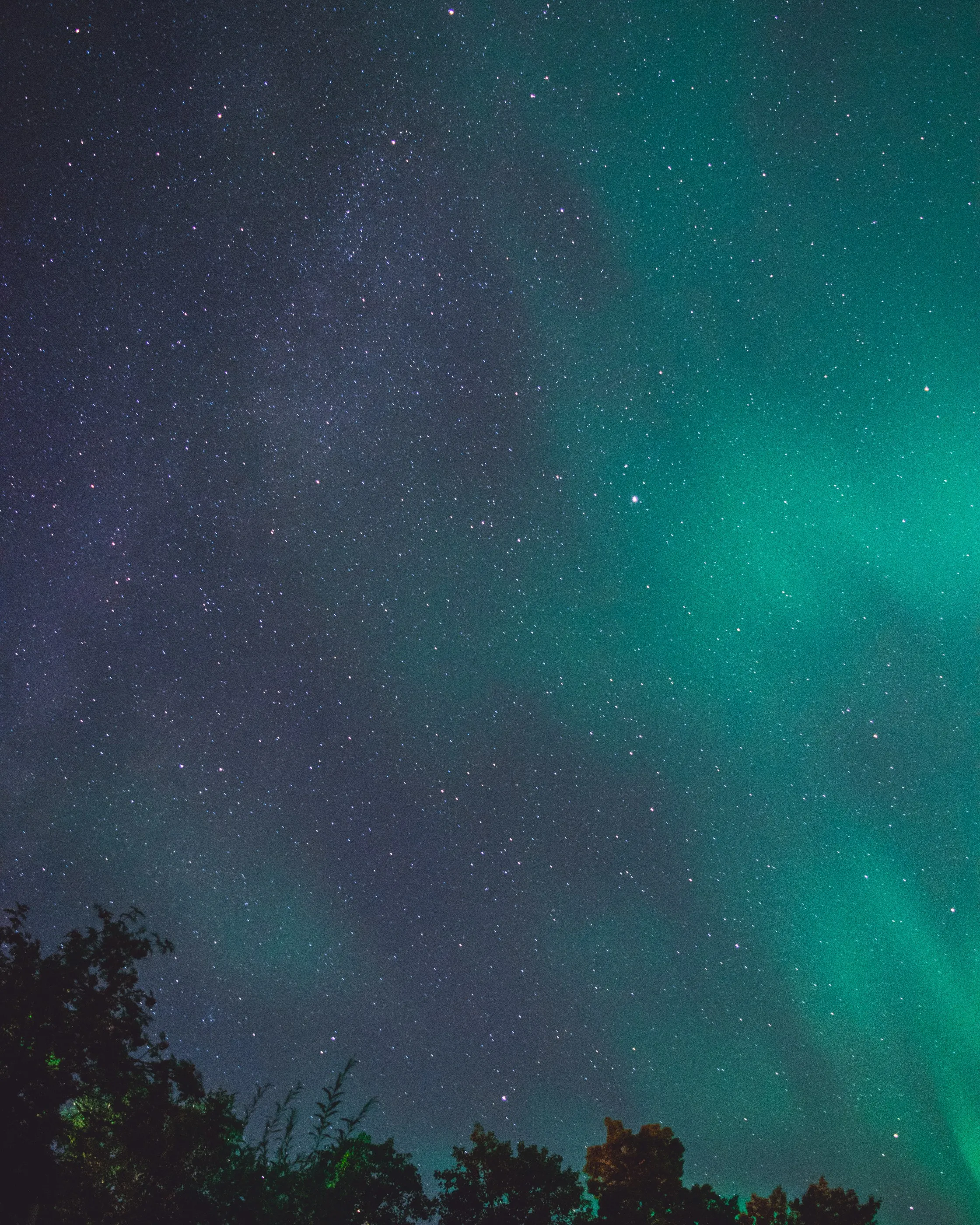 Green aurora spreading across a starry sky above trees