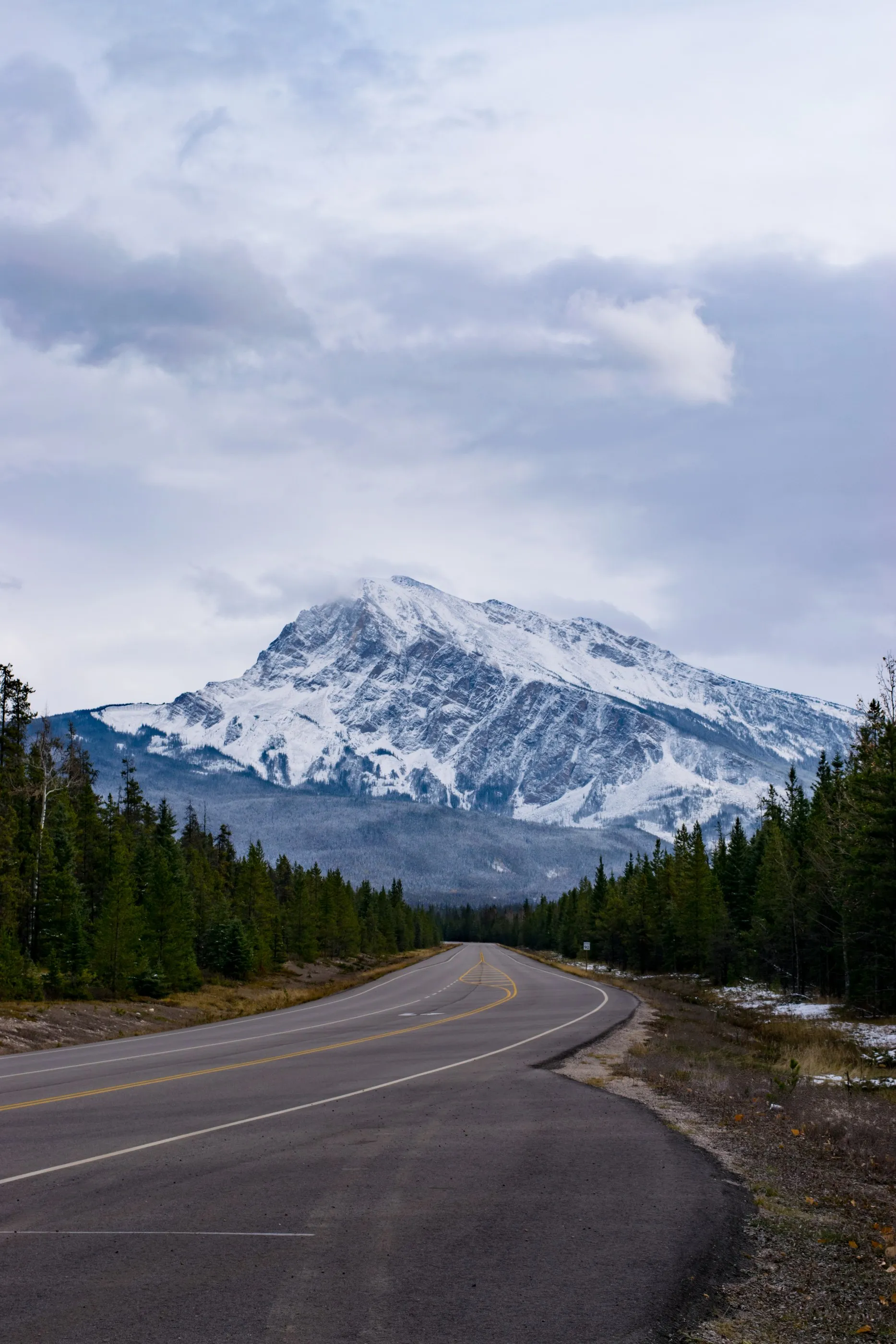 A paved mountain road leading toward a snow-covered peak